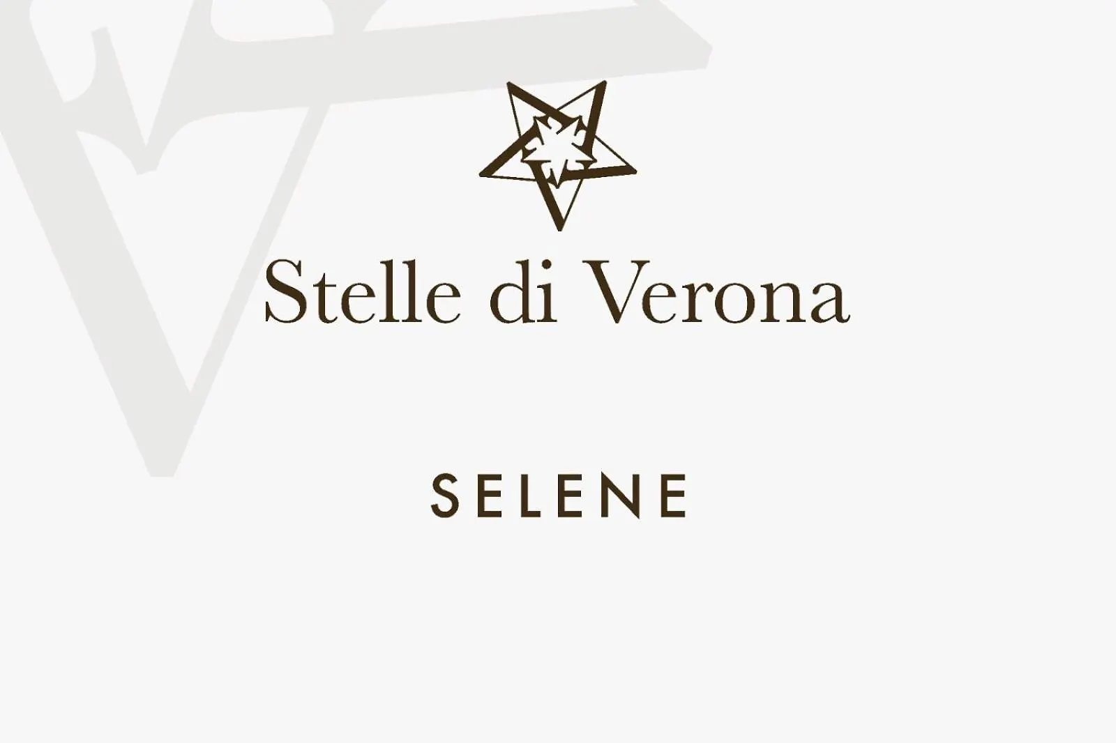 Apartment Stelle Di Verona - Selene Italy